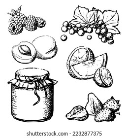 Vector set of fruit and berries preservation 