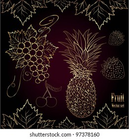 Vector set of the fruit drawn by hands