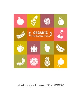 Vector set of fruit icons. Organic fruits: apple, grapes, lemon, plum, peach, bananas, cherries, strawberry, blackberry, raspberry, pear, watermelon, melon, orange, pineapple, pomegranate.
