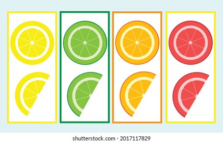 Vector set of fruit pieces.Illustration Can be used to create designs and patterns for summer themes