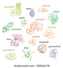 Vector set of fruit, vegetables, nuts and plants