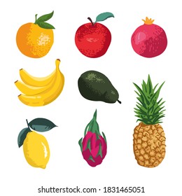 Vector set of fruits: apple, avocado, pear, dragon fruit, lemon, orange, pineapple, pomegranate, banana.