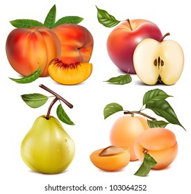 Vector set of fruits: apples, apricots peaches and pear