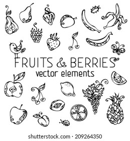 Vector set of fruits and berries. Menu design elements isolated on white background. Vintage icons.