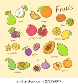 Vector set of fruits. Fruits set. Vector illustration