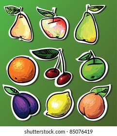 vector set -  fruits on bright background  illustration