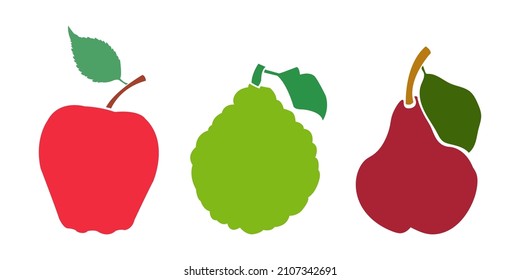 Vector Set fruits    red apple   green bergamot   dark  red pear icons white background  Illustration isolated  easy to edit   ready to use icons  A collection in various drawings  paintings