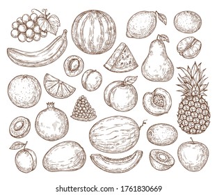 Vector set of fruits in retro style. Sketchy isolated fruits. Farming, harvest, organic products. Banana, orange, apple, pear, lemon, pineapple. For menus, backgrounds, packaging, advertising, textile