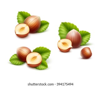 Vector Set of Full and Half Peeled Unpeeled Realistic Hazelnuts with Leaves Close up Isolated on White Background