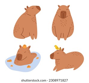 Vector set of funny capybaras in flat design. Amusing capibara characters. Cute capybaras swimming in water and relaxing. South American adorable animal collection.