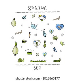 Vector set of funny cartoon pictures spring, seeds, beetles, butterflies on a white background. Positive character. Creation. For cards, notes, stickers, labels, tags with Spring illustrations. 