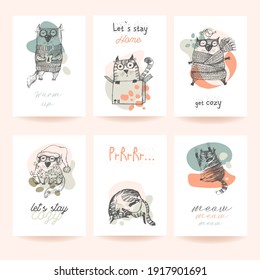 Juego de vectores de gatos graciosos 
