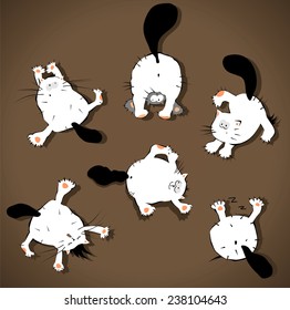 Vector set of funny cats in exercises of yoga