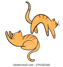 Vector set of funny cats lying, sitting, stretching itself, sleeping. Flat cartoon vector illustration. Cute cartoon cat set with different poses
