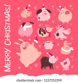 Vector set of funny Christmas flat different pig characters in Santa hat isolated on pink snowy background. Collection of friendly smiling pink porks. Perfect for New year cards, patterns, prints etc.