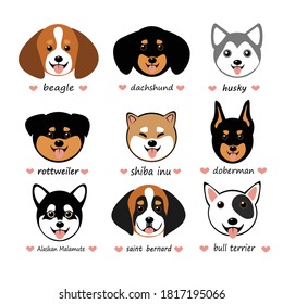 vector set with funny cute chibi dogs of different breeds. The picture shows dogs of the beagle, dachshund, husky, rottweiler, shiba inu, doberman, alaskan malamute, bull terrier, saint bernard