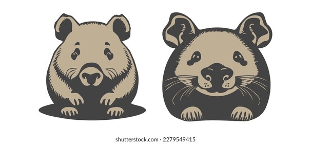 Vector set of funny cute wombat animals. Isolated white background. Icons, stickers or badges.
