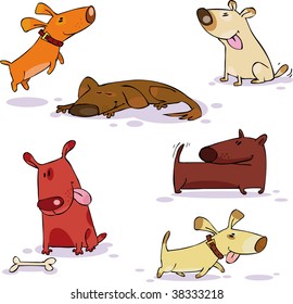 Vector set of funny dog