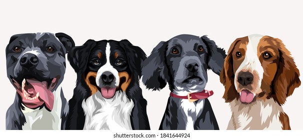 vector set of funny mixed dog, on isolated white background eps.10 - Shutterstock ID 1841644924