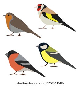 Vector set of garden bird. Robin, great tit, bullfinch, goldfinch isolated on white background. Colorful bird collection 