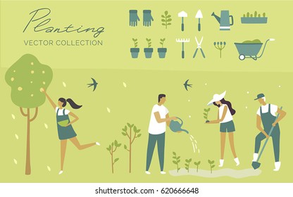 Vector set,  garden, ecology, organic, planting, botanica, green plants, watering a plant, grows trees, harvesting. Cartoon illustration. Cute. Character. Creative people collection 