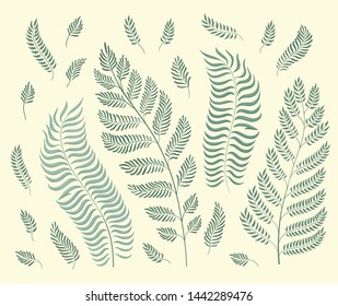 Vector set of garden herbs. Can be used for cards, invitations, design of various cosmetic products and so on