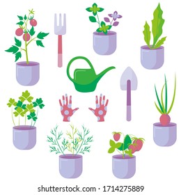 Vector set. Garden tools and plants
