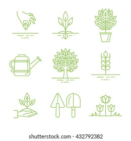 Vector set of gardening icons and linear illustrations - growing sprouts and plants from the seed to the tree - gardening tools and concepts