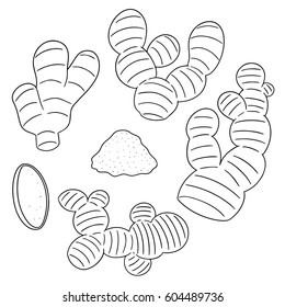 vector set of ginger