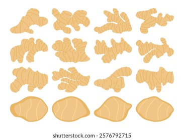 Vector set of ginger illustrations featuring various root shapes and slices. Perfect for health, food, or organic-themed designs, suitable for packaging, branding, and educational visuals.