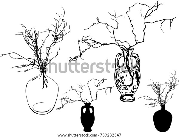 Vector Set Glass Vases Dry Twigs Stock Vector Royalty Free 739232347