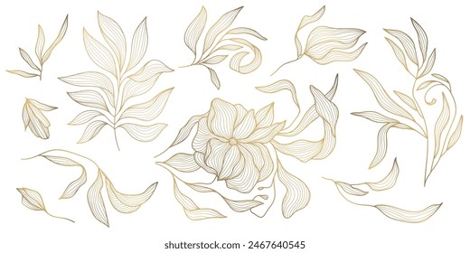 Vector set of gold leaves and flower isolated, plant branch line illustration, luxury foliage decoration. Vintage ornament elements, jungle, summer background