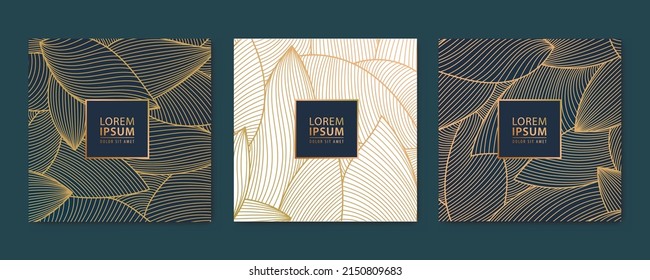 Vector set of gold line leaf cards, square luxury design patterns, borders, frames. Use for package, social net post, invitations, banners, flyers, labels