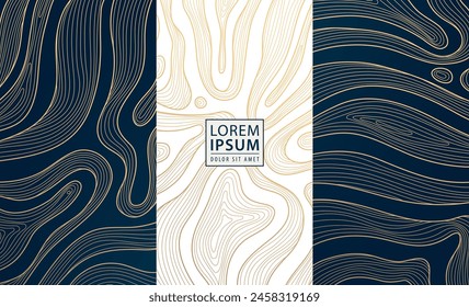 Conjunto de Vector de oro en paquete de diseño de vino de lujo negro, Plantilla abstracta de caja de línea, adorno de mapa de topografía. Tarjetas onduladas de las cintas, cosmético, chocolate, belleza, cubierta de la joyería
