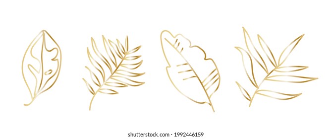 Vector set of gold tropical leaves in doodle style on white isolated background. A collection of hand drawn illustrations. Designs for social media, cards, web, packaging, wedding invitations.
