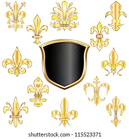Vector set of golden Fleur-de-lis and shield on white