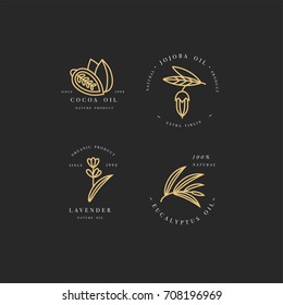 Vector set of golden packaging design templates and emblems - beauty and cosmetics oils - cocoa, lavender, jojoba and eucalyptus. Logos in trendy linear style