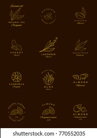 Vector set of golden packaging design templates and emblems. Argan, aloe, peanut, almond, eucalyptus, tea, chamomile and pistachio . Logos in trendy linear style