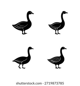 Conjunto de Vector de siluetas de ganso, aves silvestres en varias posturas de vuelo y de pie aisladas sobre fondo blanco