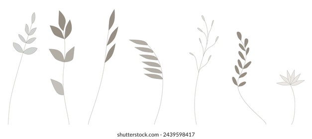 Vector set of graceful twigs with leaves, plants for compiling a herbarium.