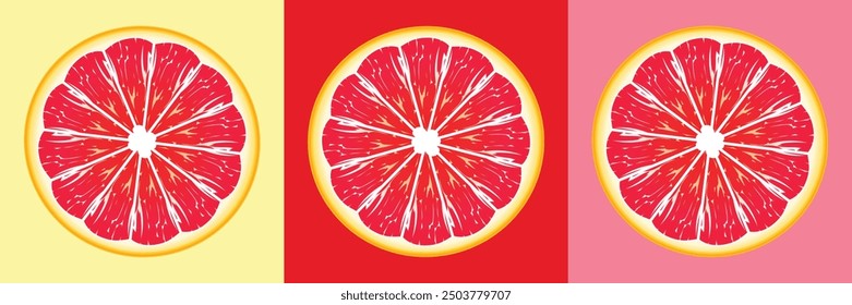 Vector set of Grapefruit slice. orange and lemon, Vector illustration.
