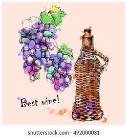 Vector set of grapes, wine with hand-drawing style on watercolor background for design