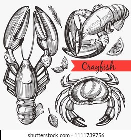 Vector set with graphic crayfish, lobster and crab