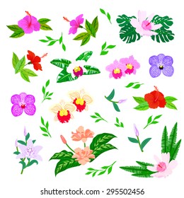 Vector set of graphic elements with exotic flowers  and leaves inspired by tropical nature, herbs and plants like ferns in multiple green colors, red hibiscus flowers and pink orchids