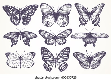 Vector set graphic hand drawn sketch butterflies in classic style. Vintage collection