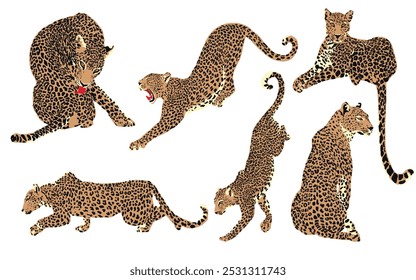 Conjunto vetorial de ilustrações gráficas de um leopardo. Impressão tropical. 