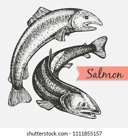 Vector set with graphic salmon 