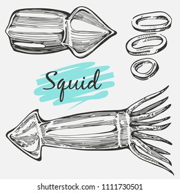 Vector set with graphic squid