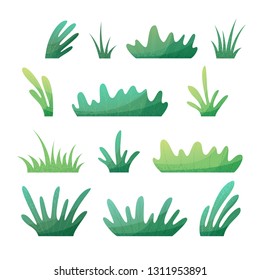 Vector set of grass elements. Summer design elements isolated on white background. Flat illustration with modern grain texture, lights and shadows.