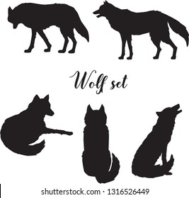 Vector set of gray or polar wolf silhouette. Walking, standing, sitting, howling and lying wolf. Isolated collection.